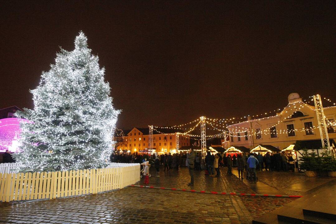 Stilizuota sniego paroda