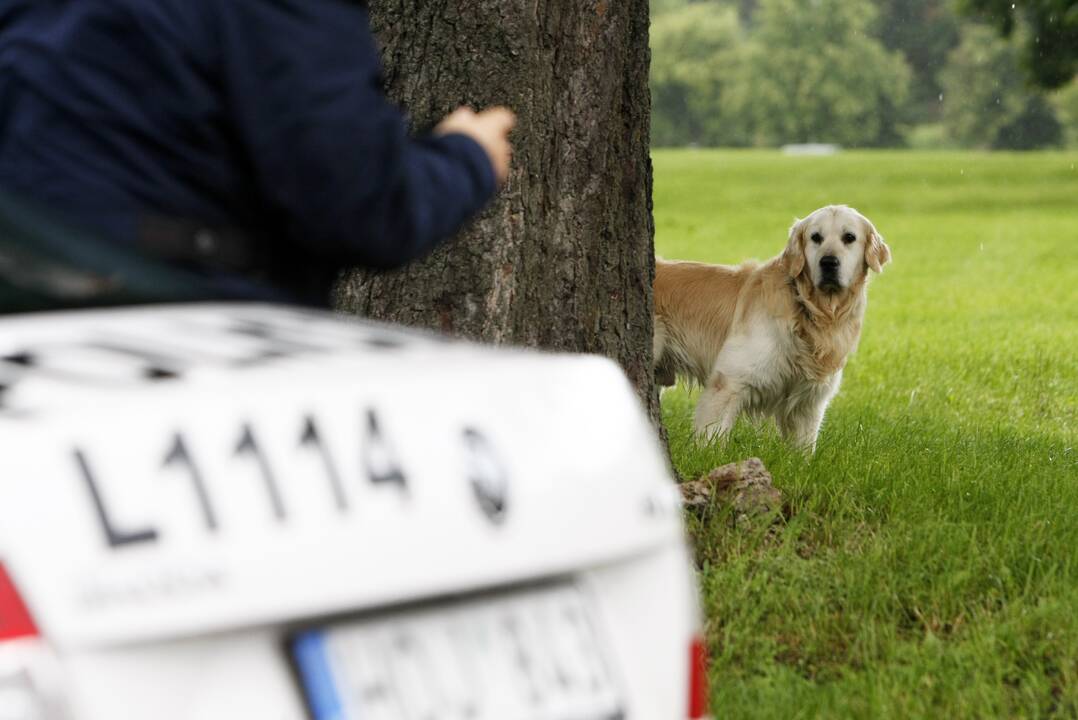  Klaipėdoje – prevencinė akcija keturkojų augintojams