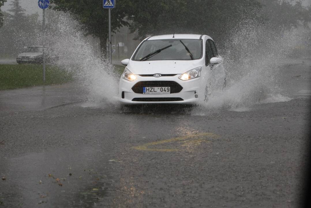 Klaipėdoje siautėja štormas: virsta medžiai, ugniagesiai vos spėja suktis