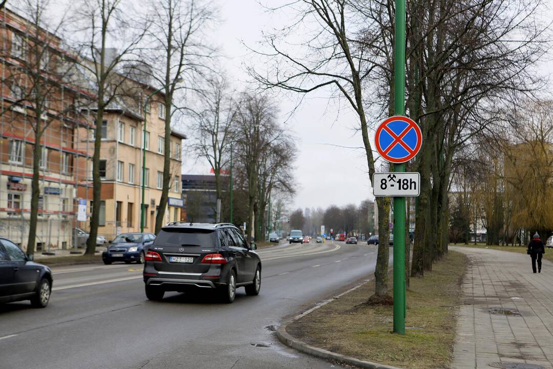 Automobilių statymas gatvėse