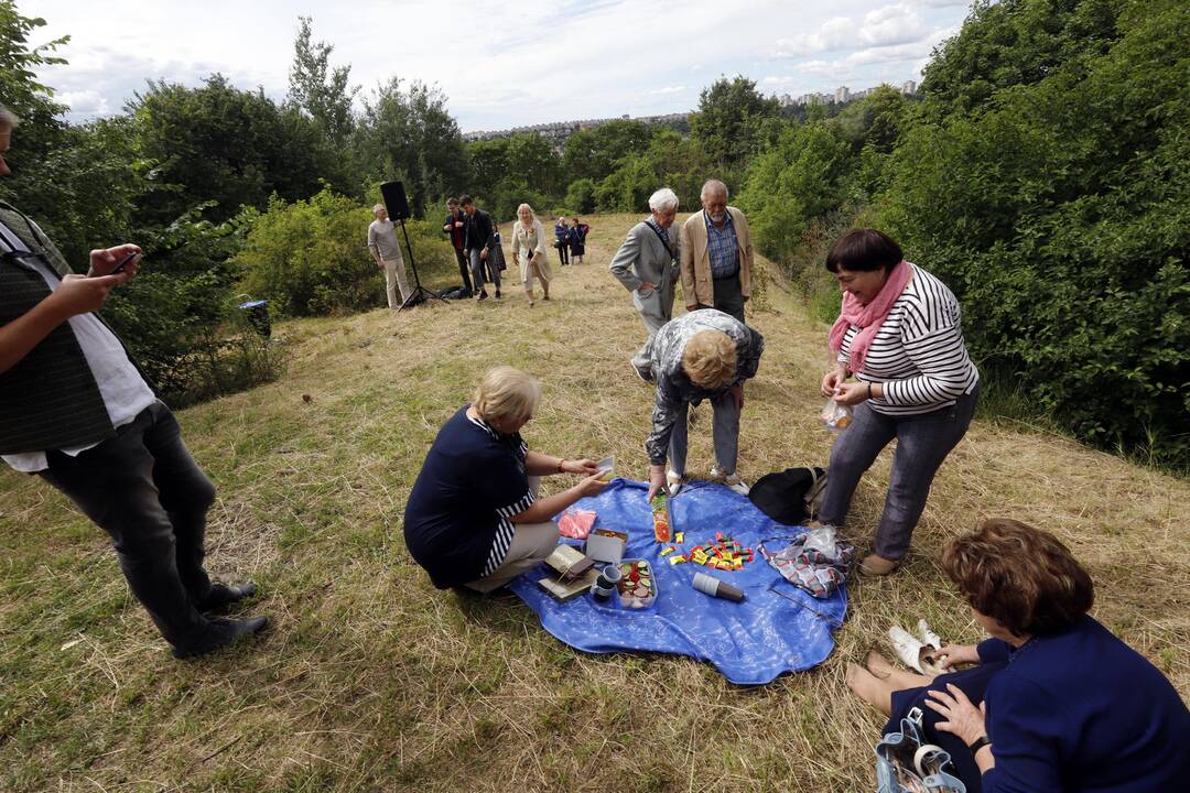 Piknikas ant Eigulių piliakalnio.