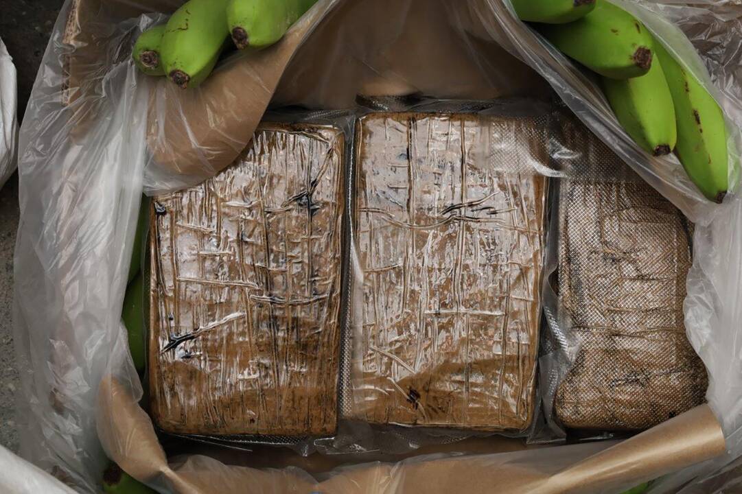 Vaisių įmonės darbuotojai bananų dėžėse aptiko kokainą