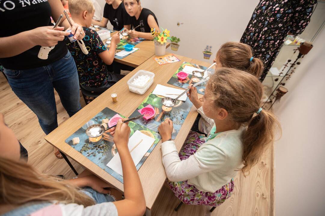 Gyvasis šetadienis Raudondvario dvare