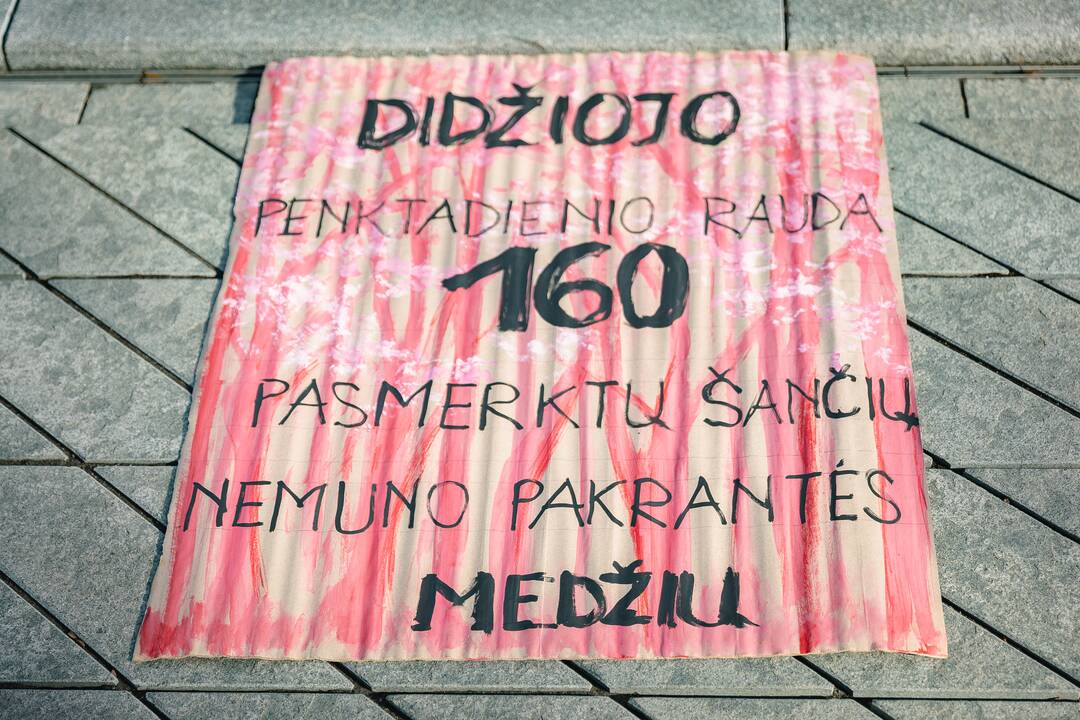 Protesto akcija „Didžiojo penktadienio rauda“