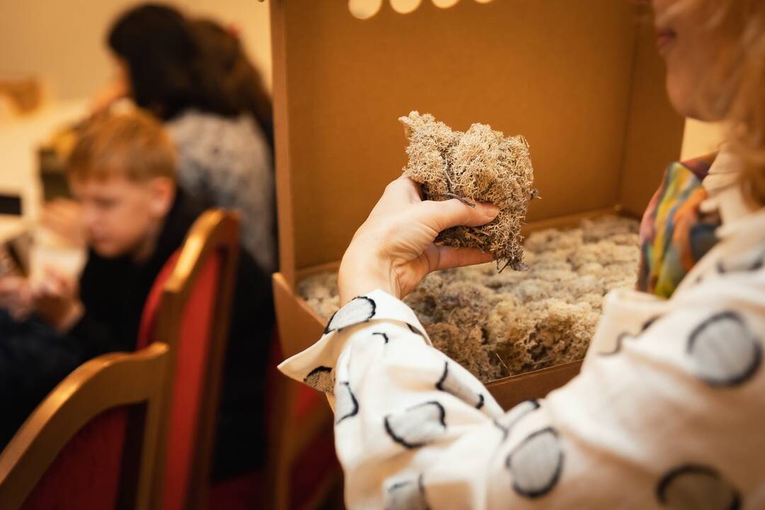 Pilies diena Raudondvaryje – su vėlių eisena
