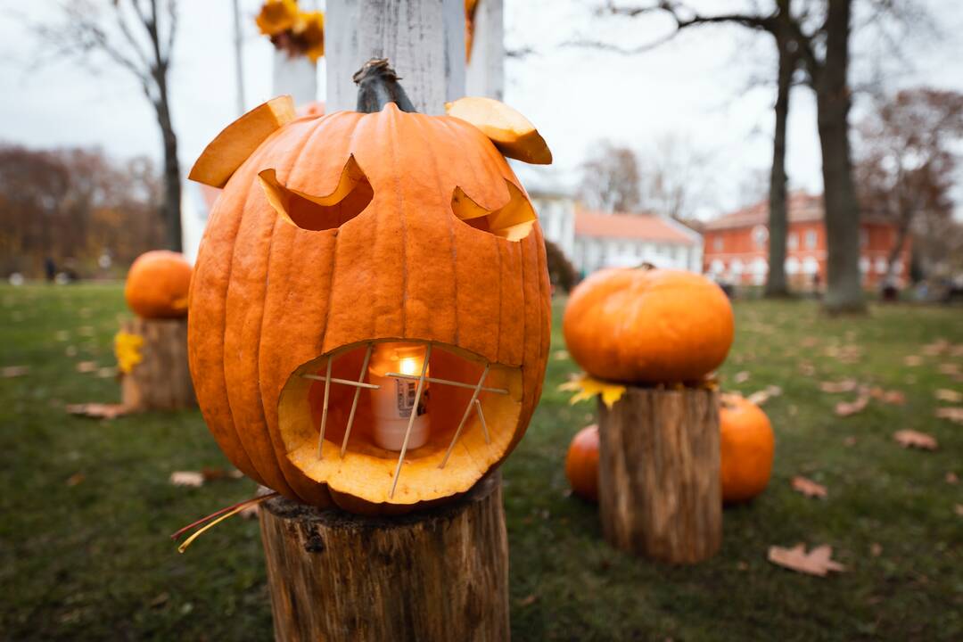 Pilies diena Raudondvaryje – su vėlių eisena