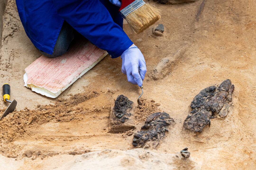 Verkių dvarvietėje pristatomas archeologinis atradimas