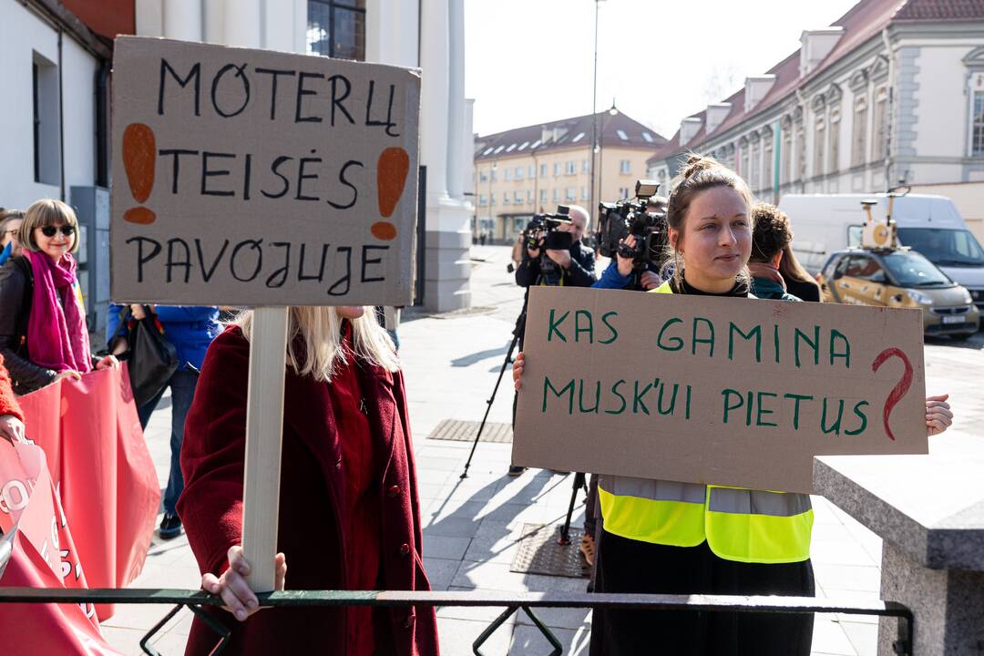 Tarptautinės moterų solidarumo dienos eitynės Vilniuje