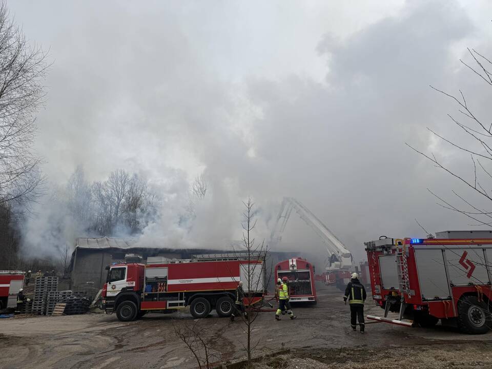 Klaipėdos rajone užsiliepsnojo medžio apdirbimo įmonė