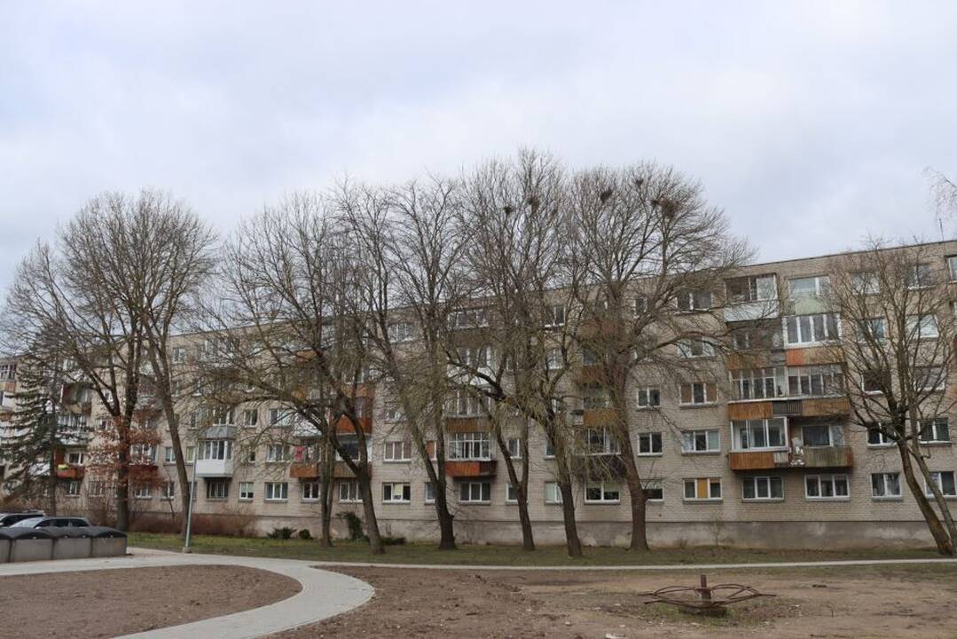 Viltys: tikimasi, kad vis dėlto paukščių lizdų Kauno gatvės 39-ojo namo kiemo liepose neliks.