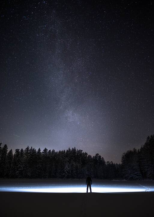 Aistra: „Visada buvau vaiku, kuris be gamtos gyventi tiesiog negali“, – sako miške klaidžioti su fotoaparatu mėgstantis K.Čeponis.