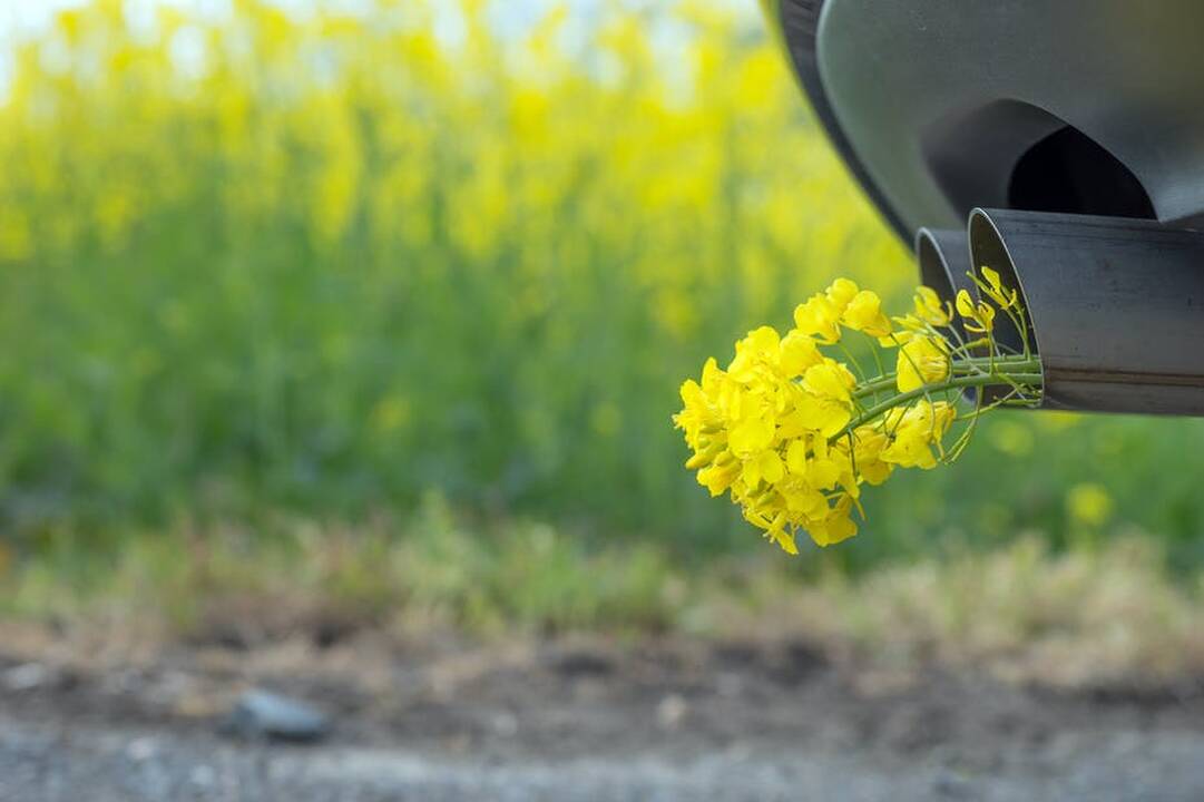 Problema: anot LAEIEK prezidento M.Nagevičiaus, biodegalai Lietuvoje ne tik neskatinami, bet ir sukuriamos kliūtys jiems plačiau naudoti.