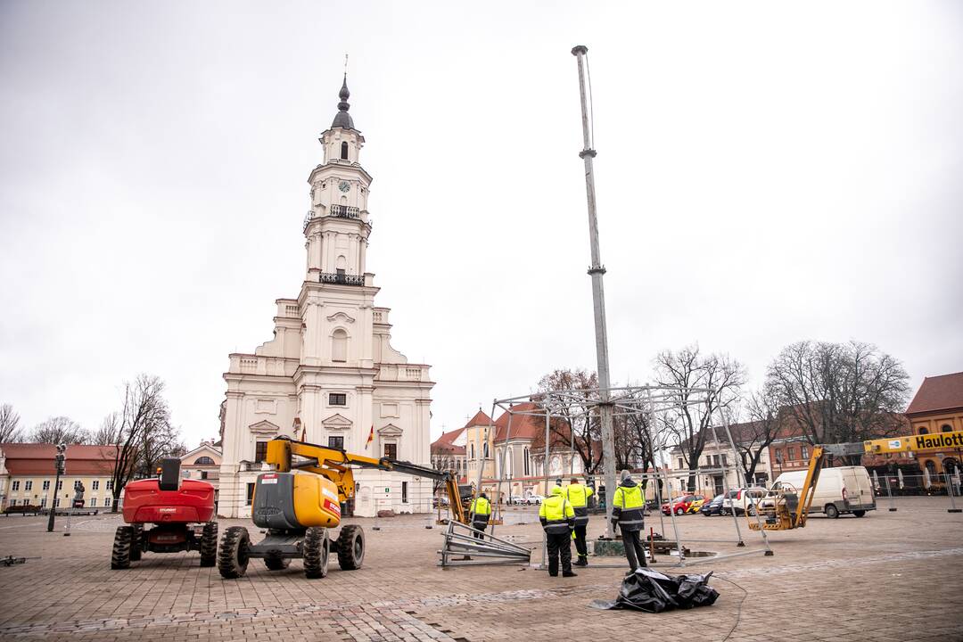 Kauno kalėdinės eglutės montavimo darbai įgauna pagreitį