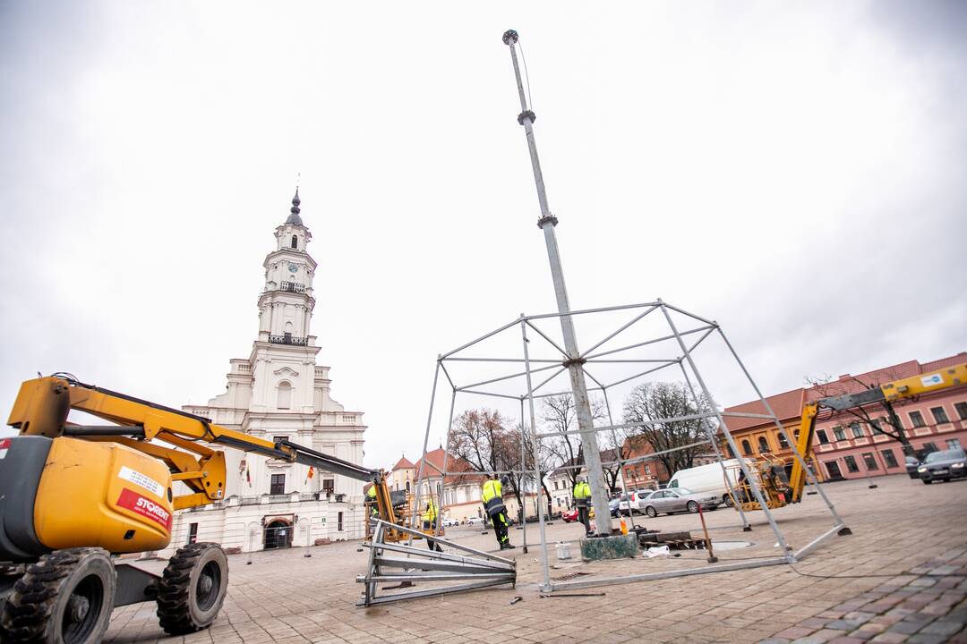 Kauno kalėdinės eglutės montavimo darbai įgauna pagreitį