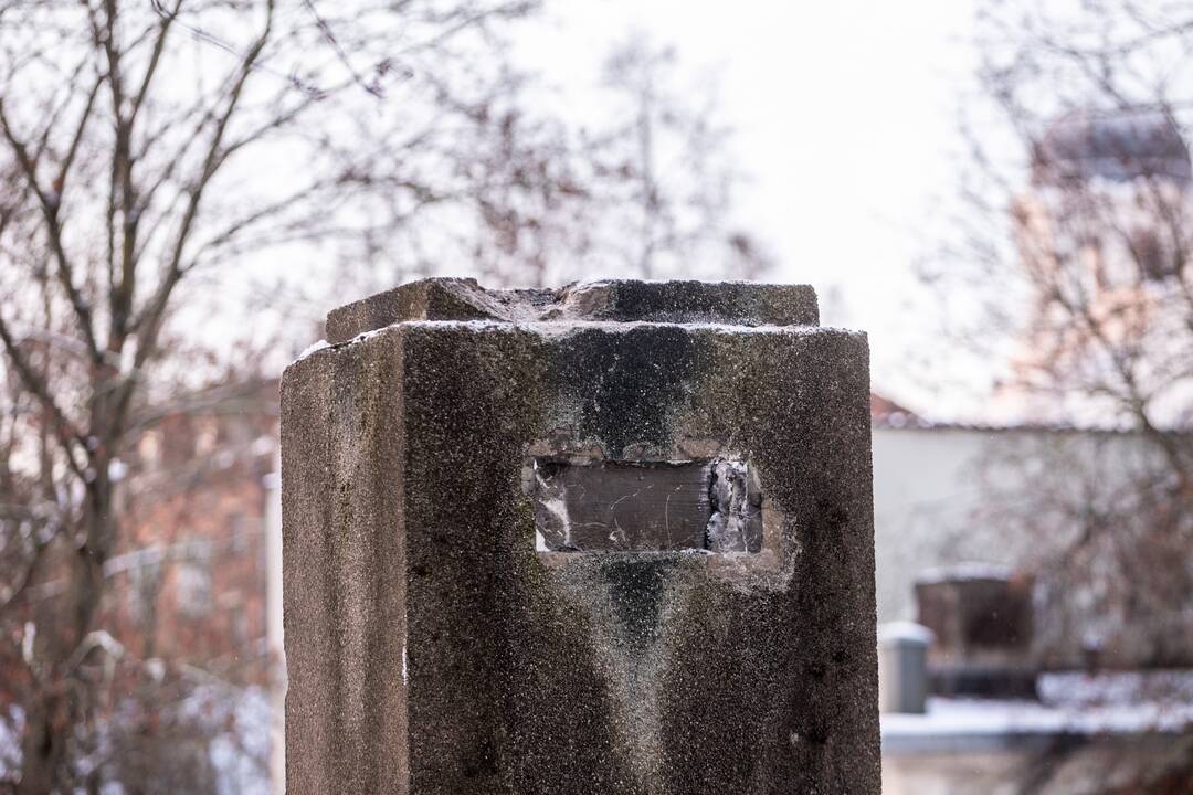 Kaune nebeliko P. Cvirkos biusto