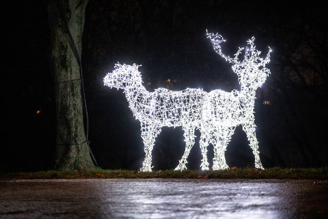 Kalėdinės dekoracijos papuošė Kauną
