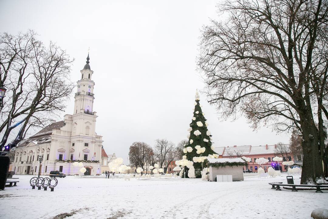 Pirmasis gausus žiemos sniegas