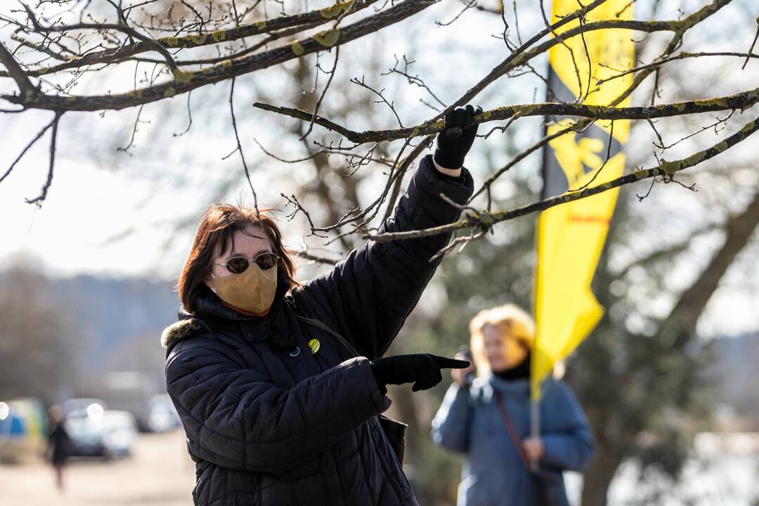 Protesto akcija Kaune „Išvyniok Kauno valdžios dovaną Šančiams“ 