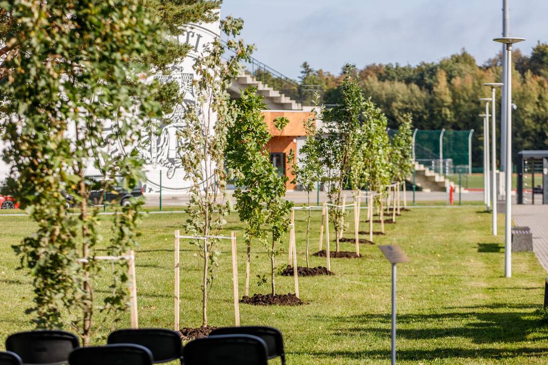 Prie Prezidento Valdo Adamkaus sporto centro šaknis įleido ąžuolai