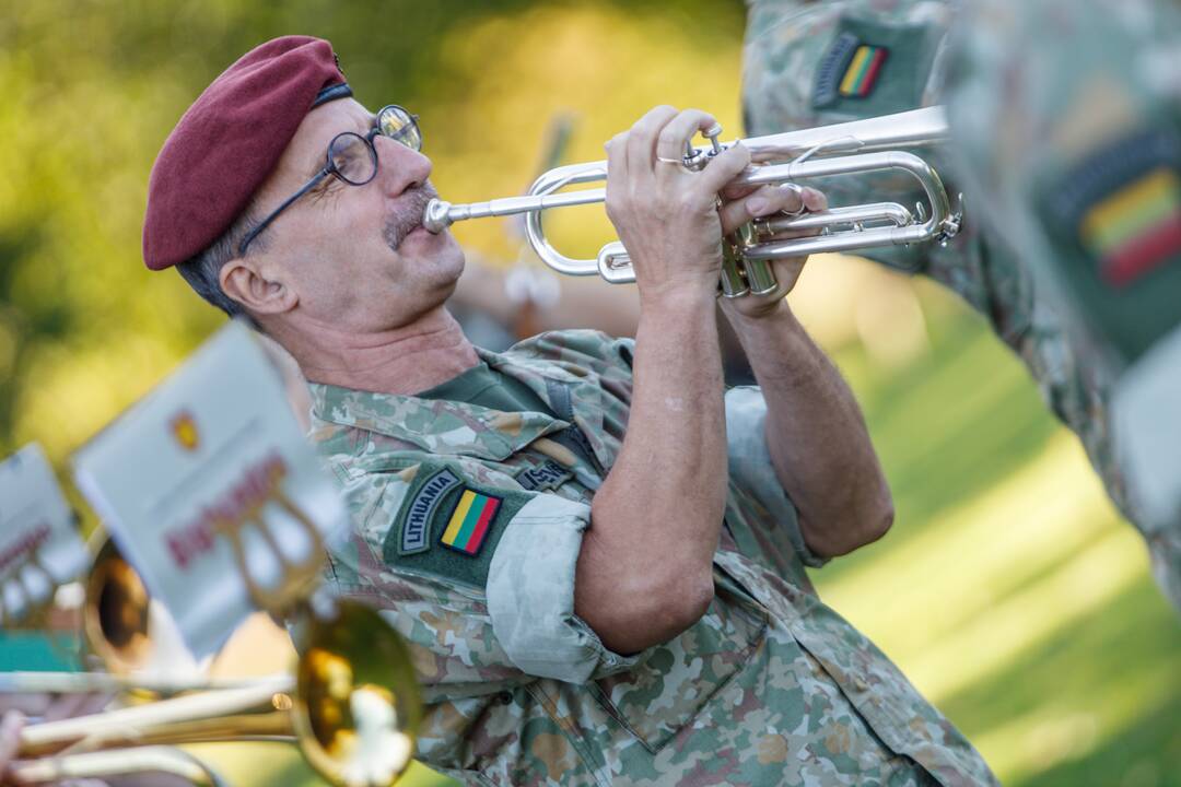 Sausumos pajėgų renginys kauniečiams