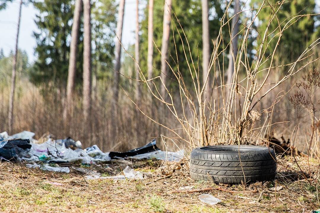 Vyriausybė pritarė griežtesnėms baudoms už aplinkosaugos pažeidimus