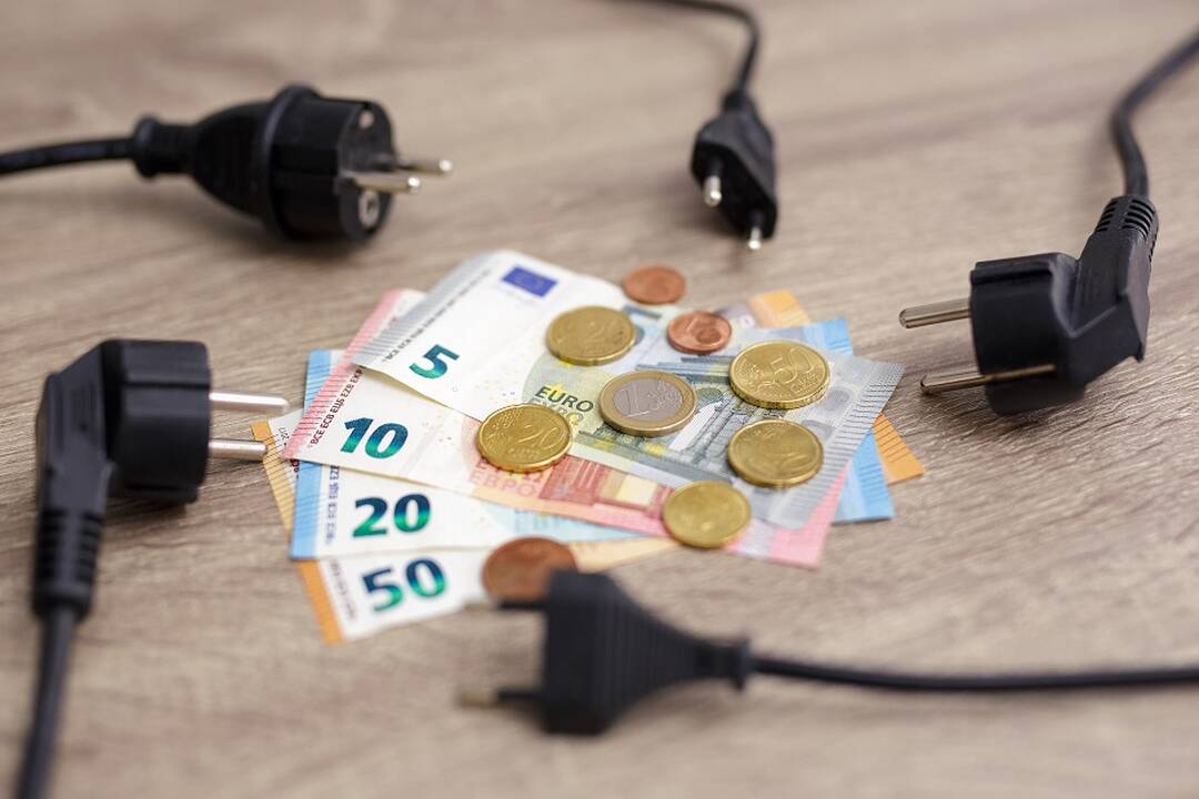 „Litgrid“: dėl šalčių ir silpno vėjo elektra per savaitę brango dvigubai