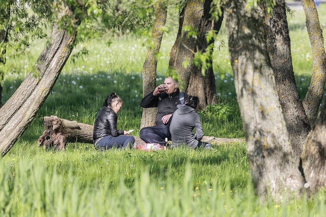 Problema: miesto parkai vis dažniau tampa ne poilsio, o troškulio malšinimo vieta – tokie vaizdai kelia nerimą ne vienam praeiviui. 