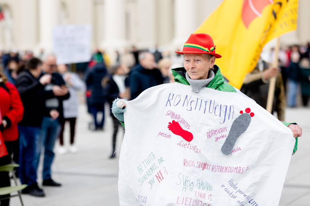 Lietuvos šeimų sąjūdžio mitingas