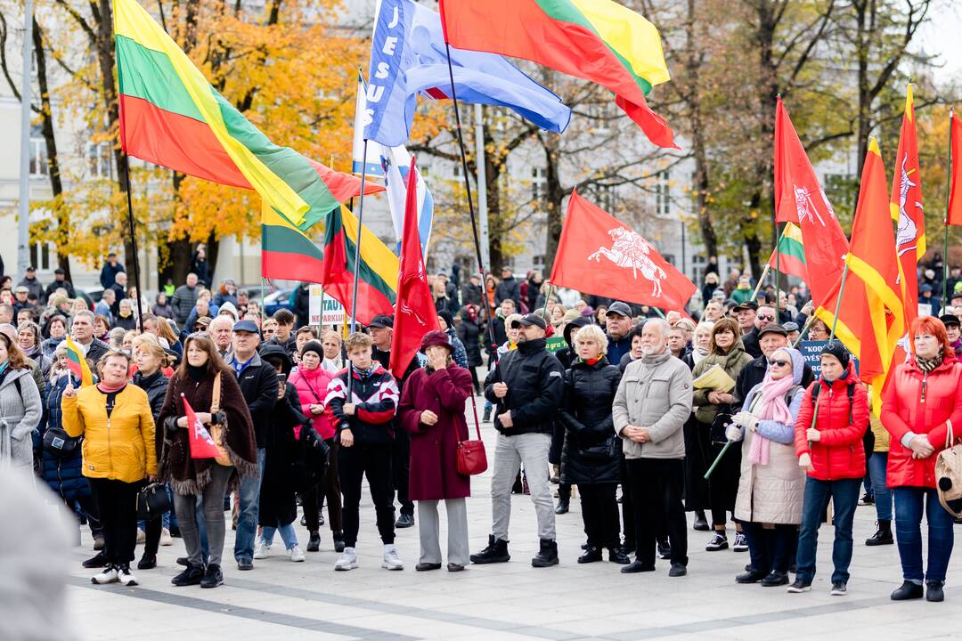 Lietuvos šeimų sąjūdžio mitingas