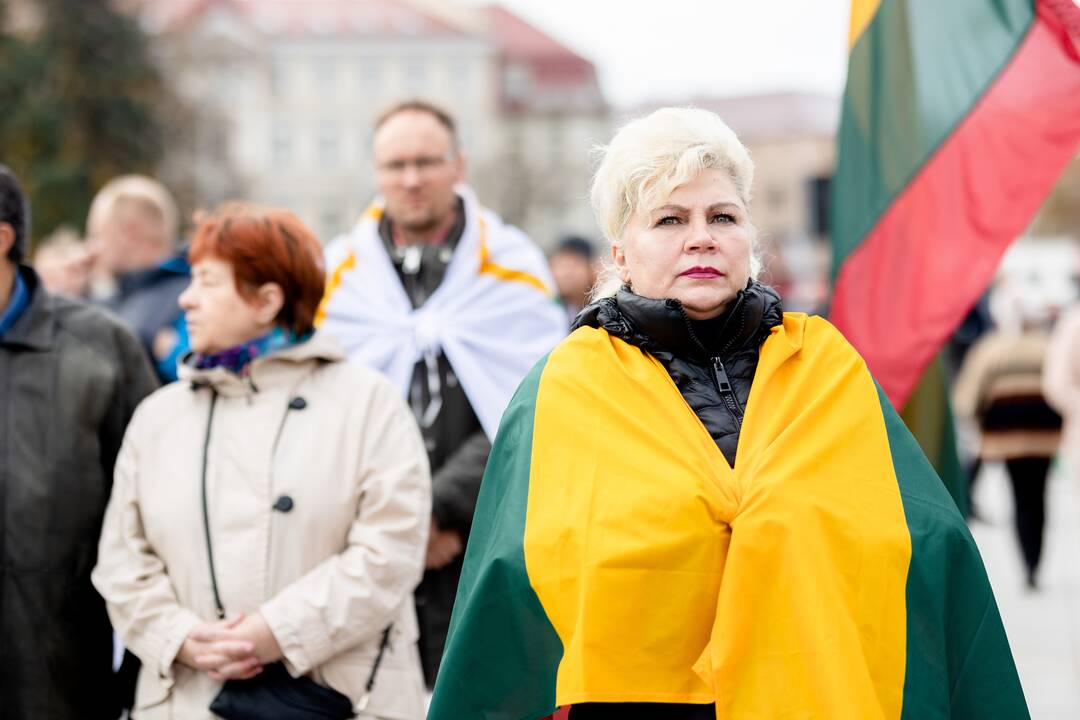 Lietuvos šeimų sąjūdžio mitingas