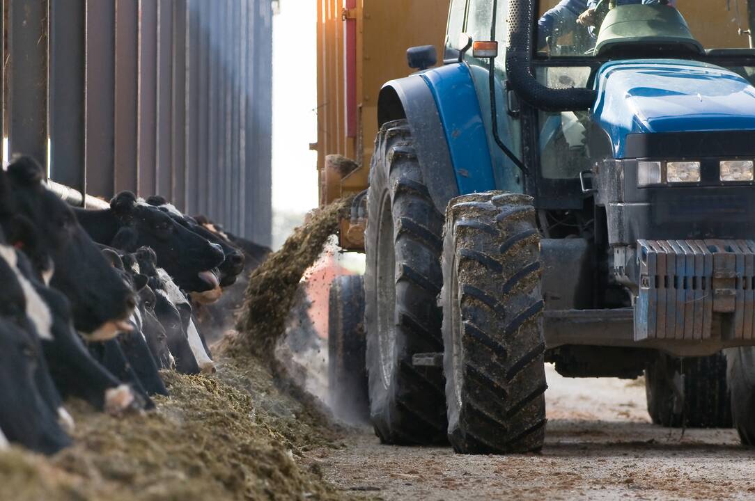 Greičiau ir efektyviau: žemės ūkio produktų perdirbėjams parama atveria naujų galimybių