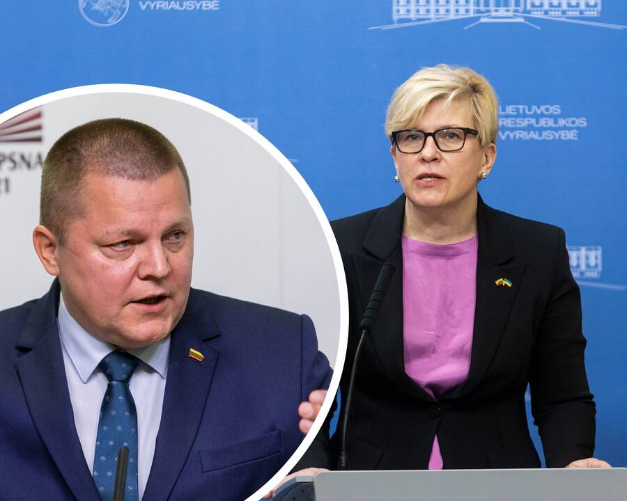 Dainius Gaižauskas ir Ingrida Šimonytė