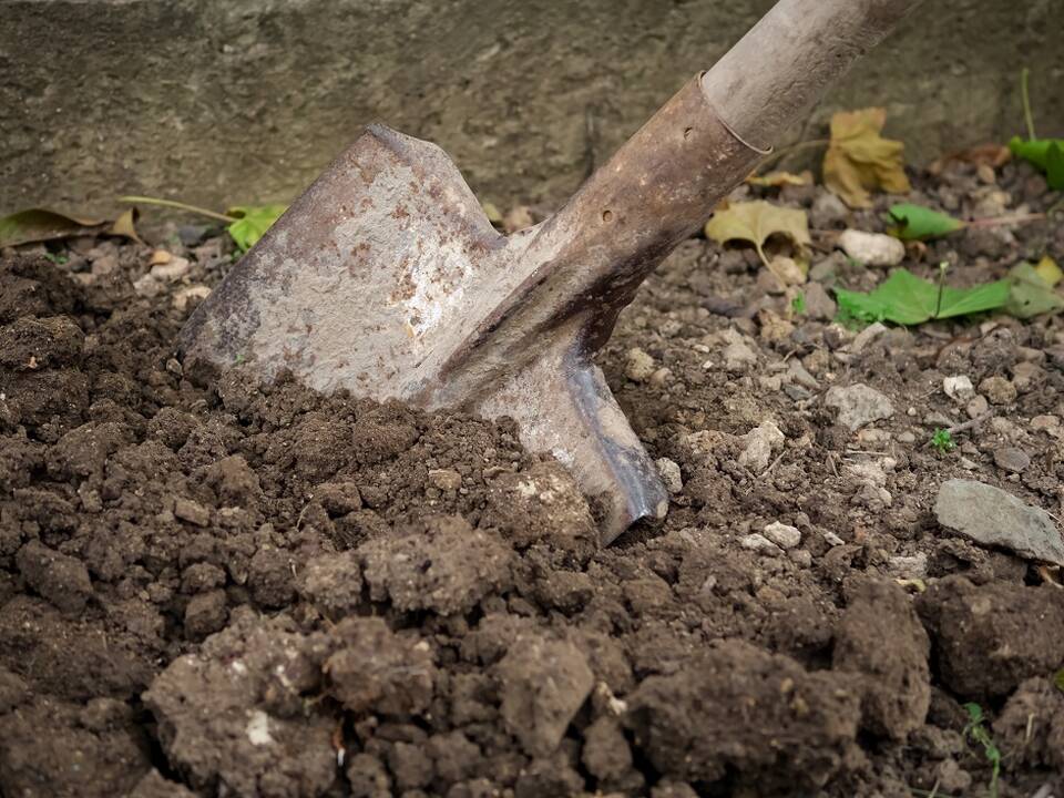 Atliekant kasimo darbus rastos, įtariama, žmogaus kaulų dalys