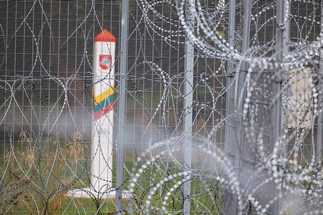 VSAT: pasienyje su Baltarusija apgręžti šeši neteisėti migrantai