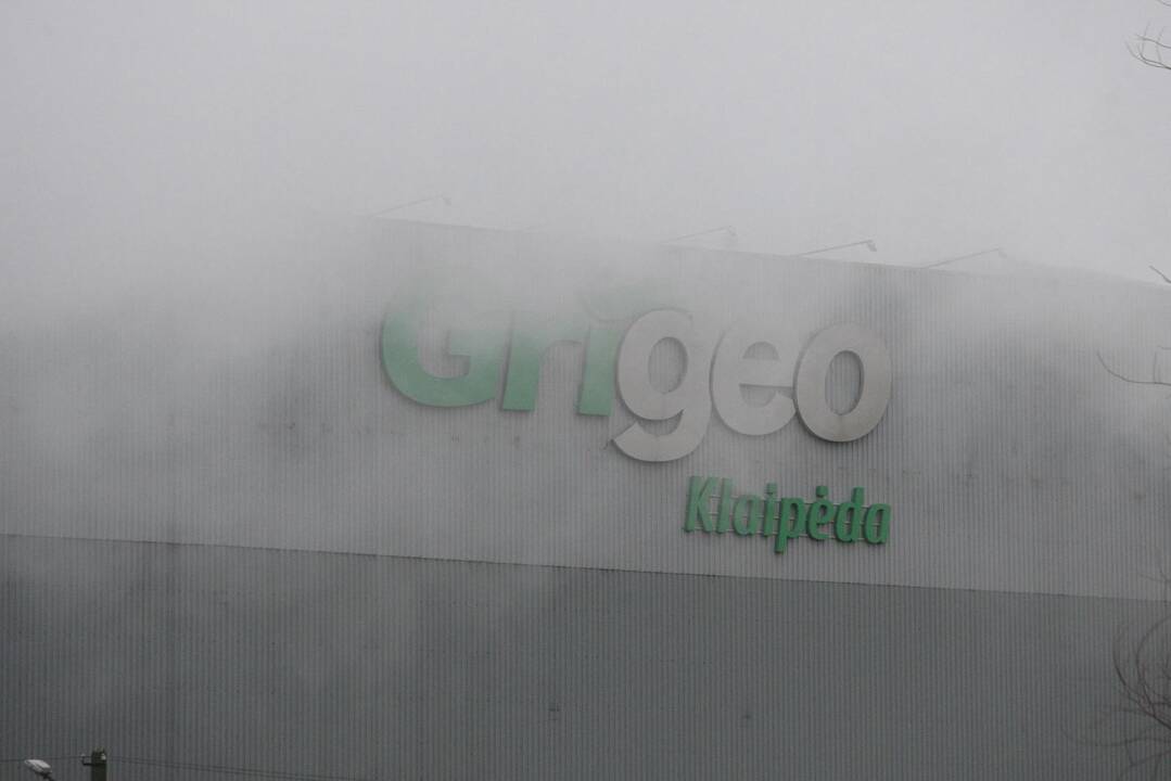 Aplinkosaugininkai „Grigeo Klaipėda“ patikrinimą žada pradėti ketvirtadienį