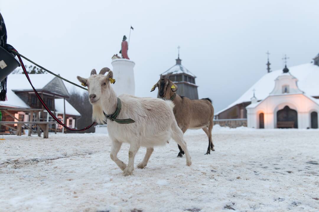 Adventinis miestelis Rumšiškėse