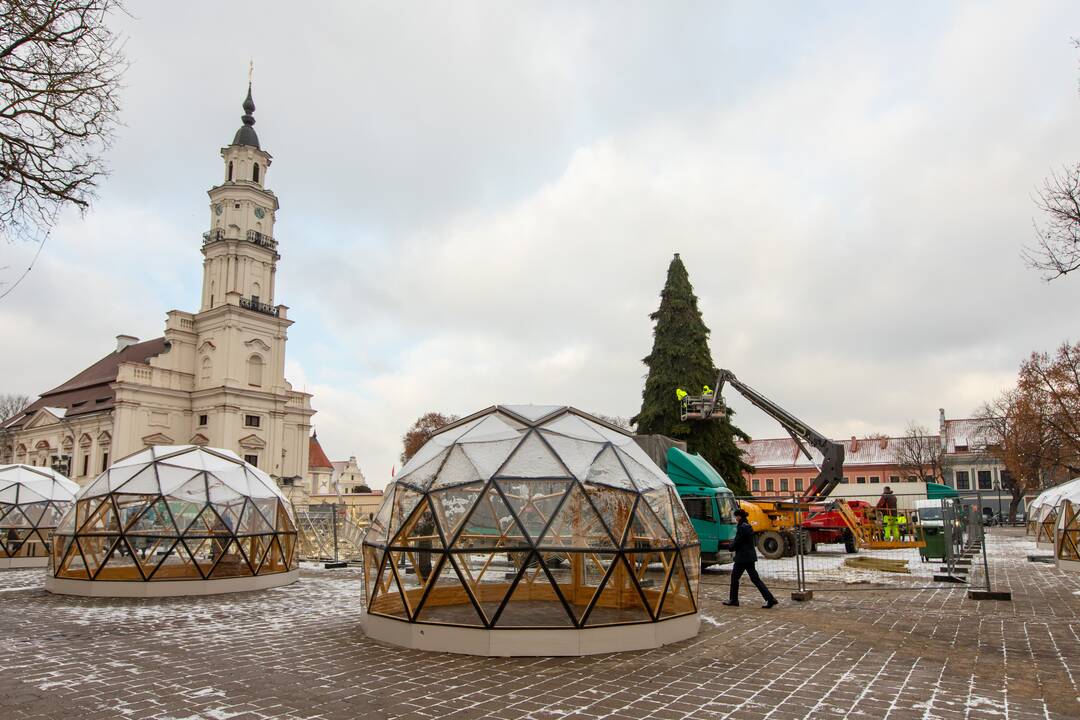 Ryškėja Kauno Kalėdų eglutės vaizdas