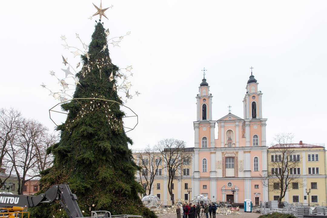 Pristatyta Kauno kalėdinė eglė