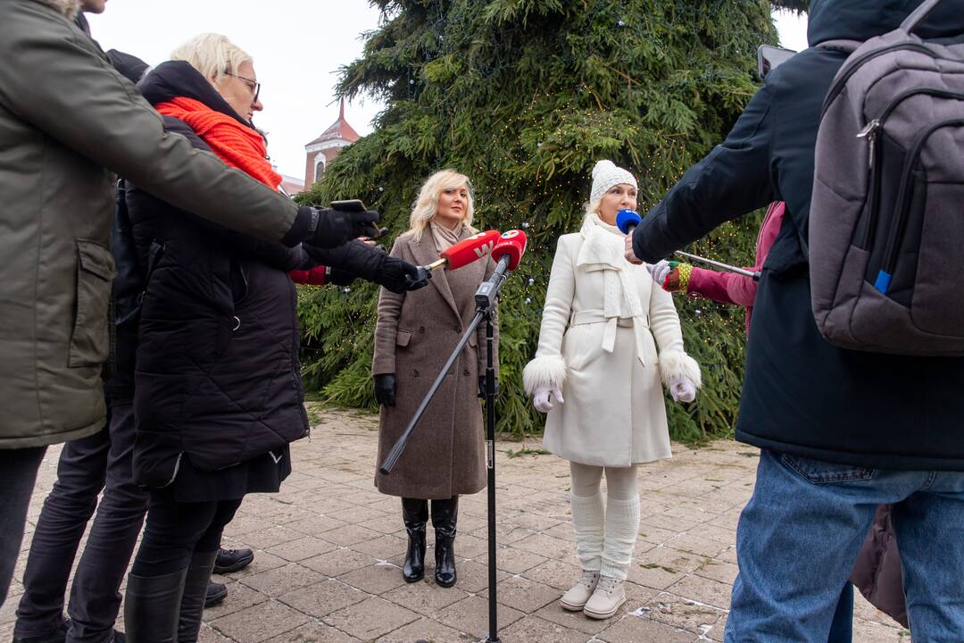 Pristatyta Kauno kalėdinė eglė