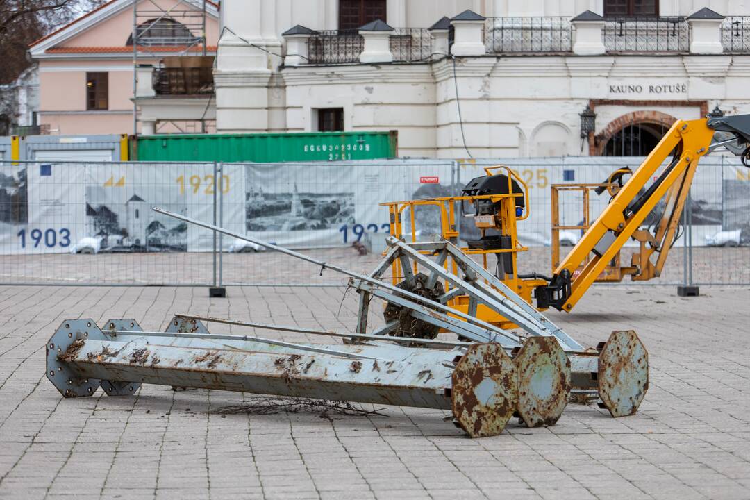 Rotušės aikštėje montuojama eglė