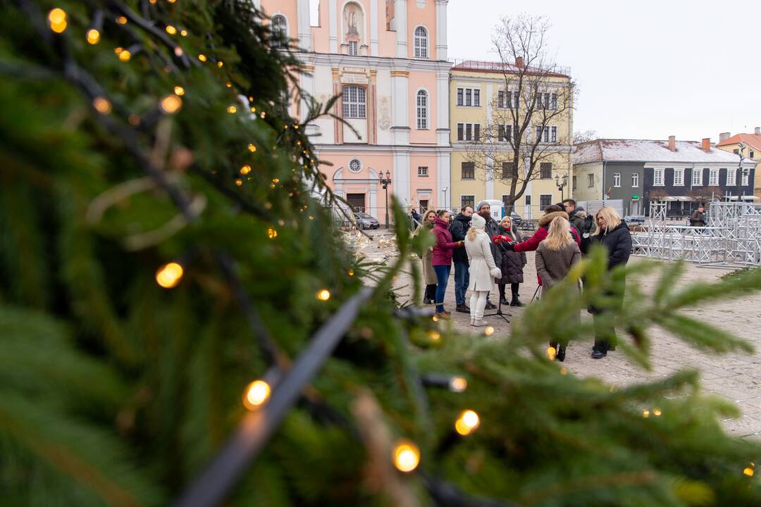 Pristatyta Kauno kalėdinė eglė