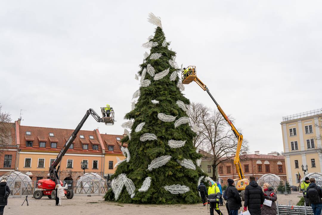 Pristatyta Kauno kalėdinė eglutė