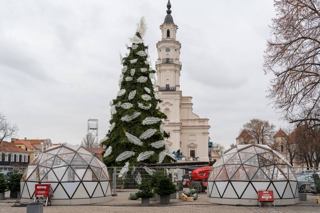 Pristatyta Kauno kalėdinė eglutė