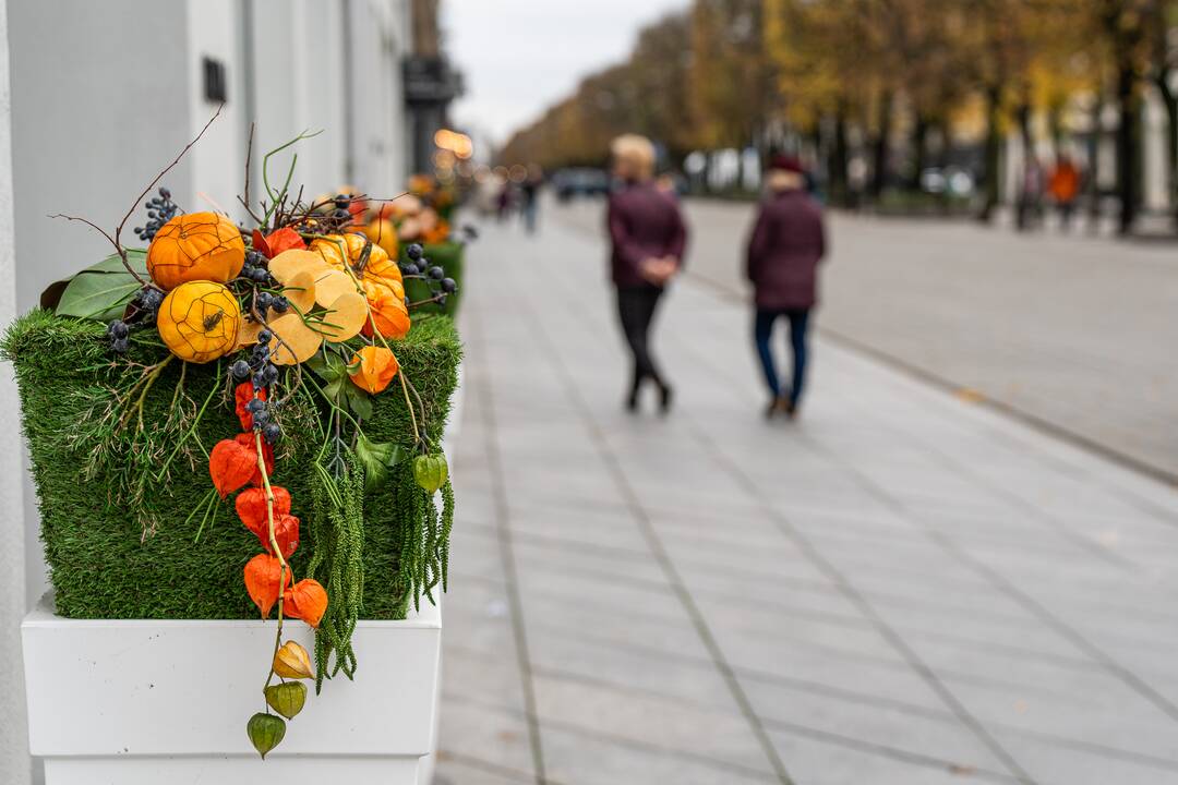 Kaunas puošiasi Helovino šventei