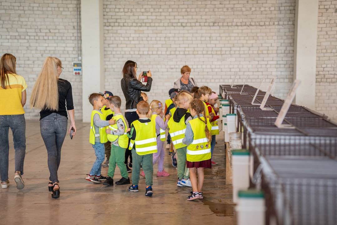 Gyvulininkystės paroda VDU Žemės ūkio akademijoje