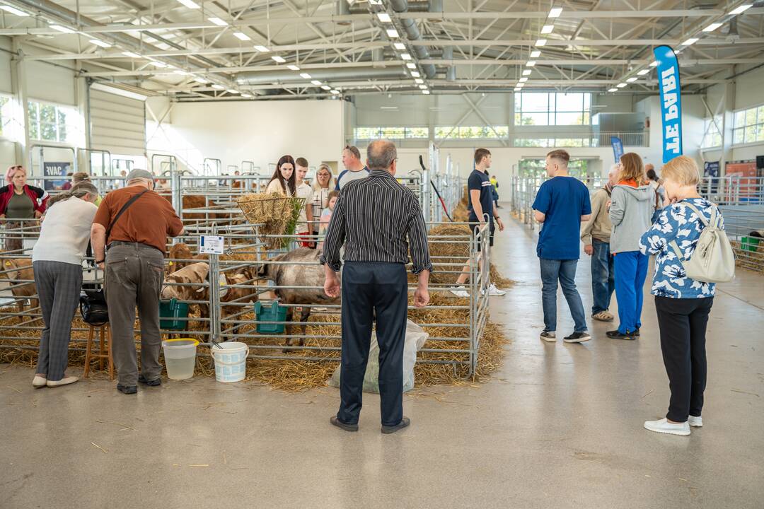 Gyvulininkystės paroda VDU Žemės ūkio akademijoje