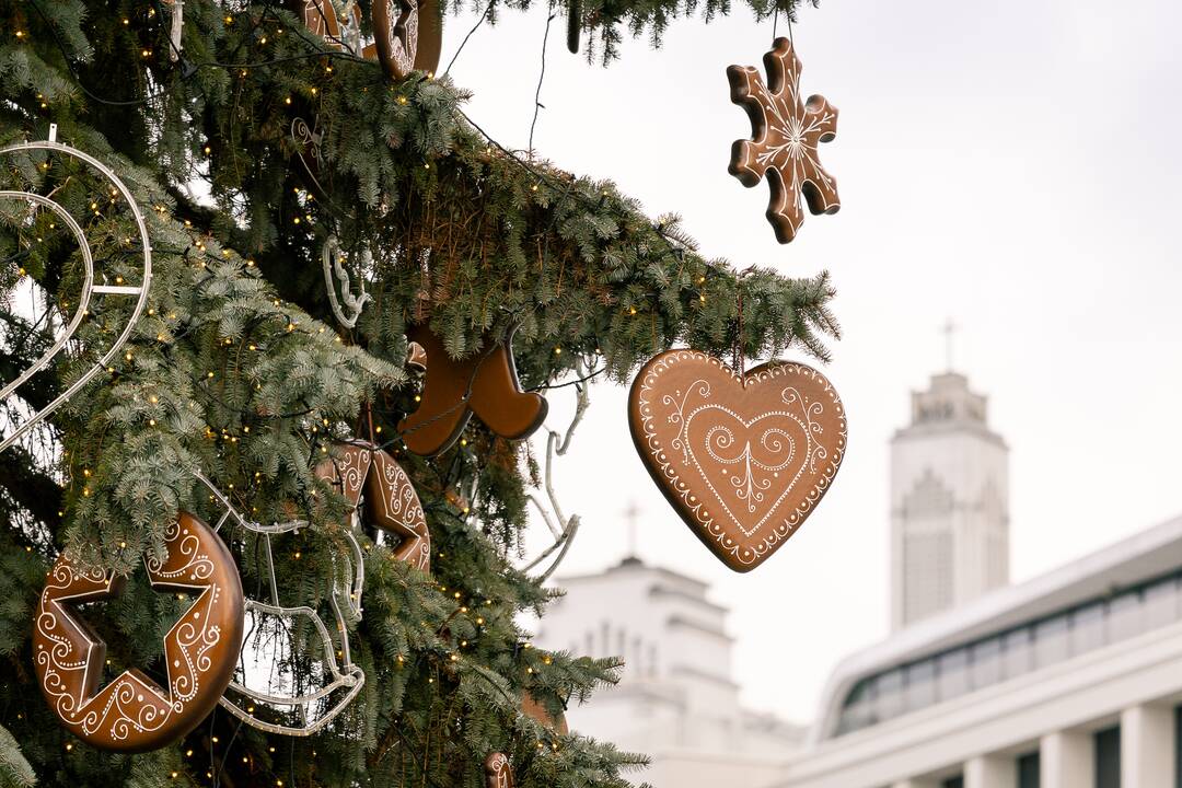Kauno eglutė skaičiuoja paskutines dienas