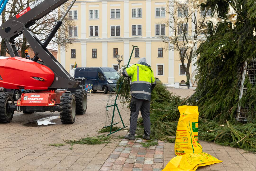 Nupuošiama Kauno eglė