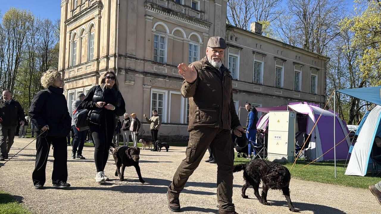 Medžioklinių veislių šunų paroda