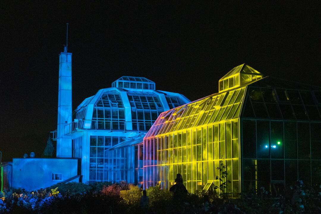 Botaninės naktys 2024. "Bobų vasara"